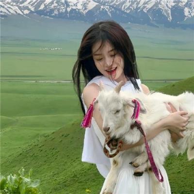 六扇门之御前盗圣